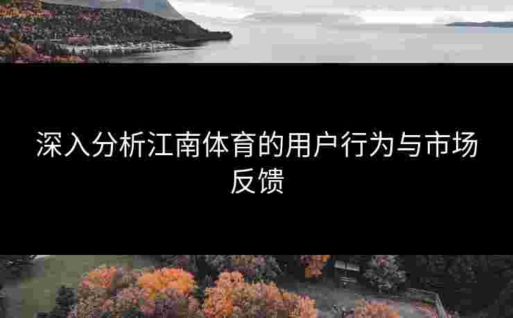 深入分析江南体育的用户行为与市场反馈